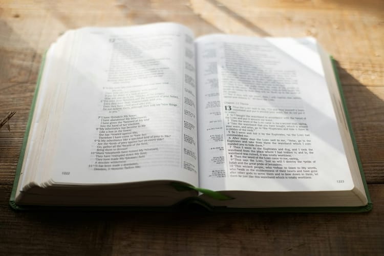 Studio Biblico: Vivi la Parola