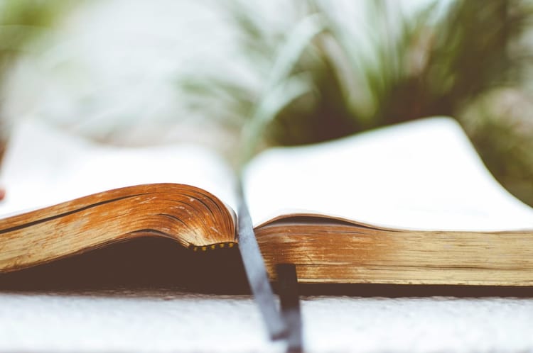 Studio Biblico: La Sapienza della Moderazione
