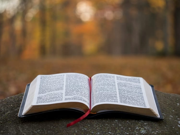 Studio Biblico: Il Dono della Vita Eterna