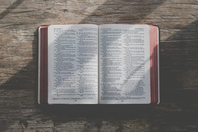 Studio Biblico: L’amore come nostro principio guida