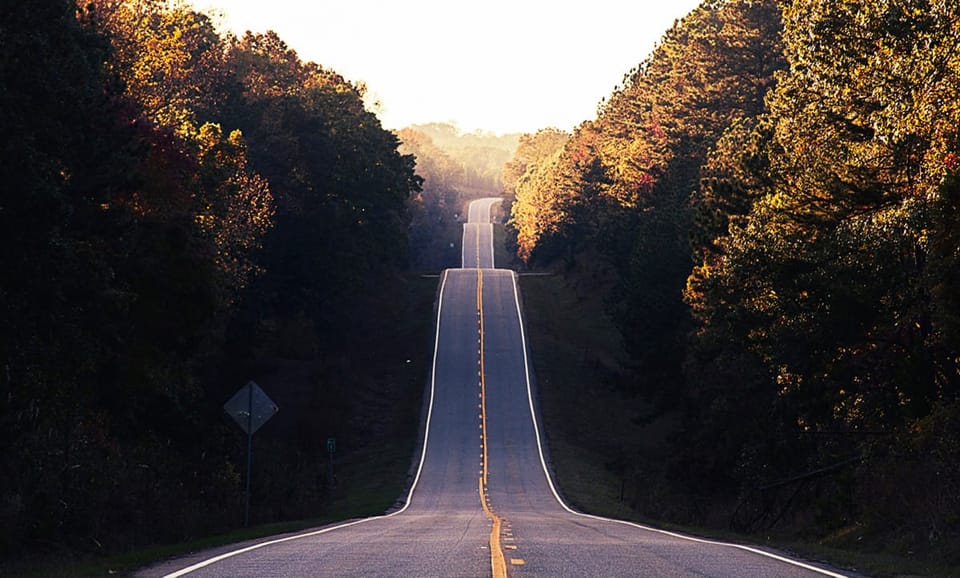 Confida nel processo