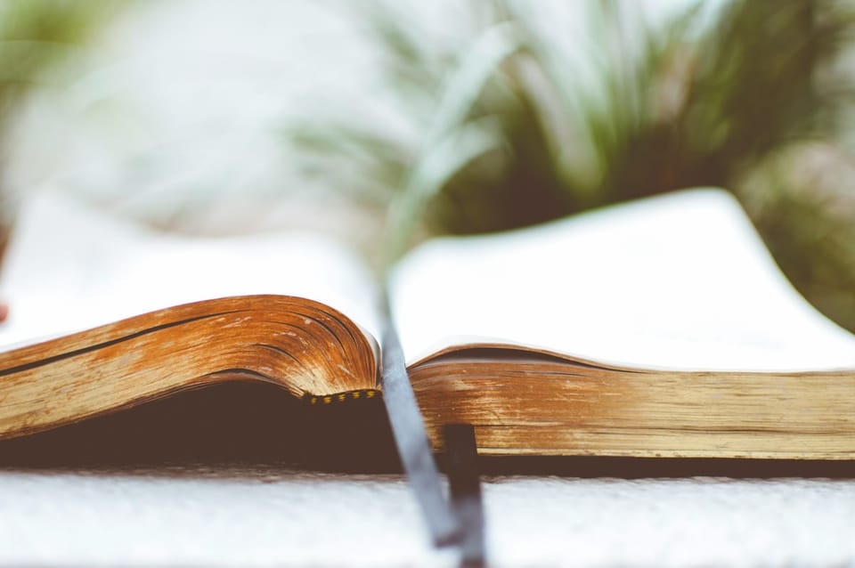 Studio Biblico: La Sapienza della Moderazione